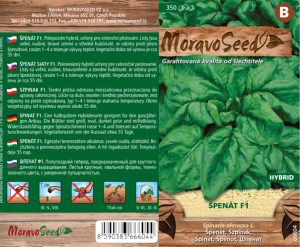 Špenát siaty - Spinacia oleracea - GRETA F1