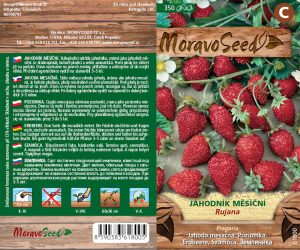 Jahoda mesačná - Fragaria - RUJANA