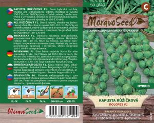 Kel ružičkový - Brassica oleracea - Dolores F1