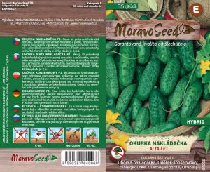 Uhorka nakladačka hruboostná - Cocumis sativus - ALTAJ F1