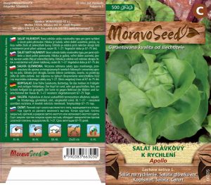 Šalát hlávkový na rýchlenie - Lactuca sativa - APOLLO
