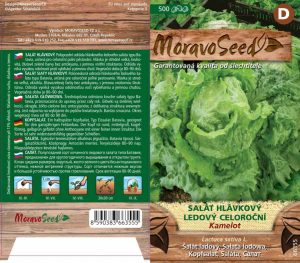 Šalát hlávkový ľadový - Lactuca sativa - KAMELOT - celoročný