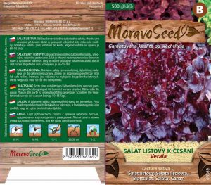 Šalát listový na česanie - Lactuca sativa - VERALA - červený