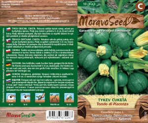 Tekvica cuketa - Cucurbita pepo - TONDO DI PIACENZA - zelená