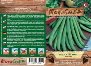 Fazuľa keríčková - Phaseolus vulgaris - NOVORES - zelený