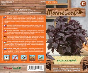 Bazalka pravá - Ocimum basilicum - červená