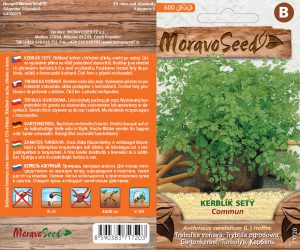 Trebuľka voňavá - Anthriscus cerefolium