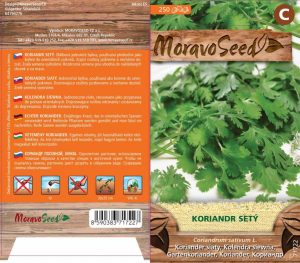 Koriander siaty - Coriandrum sativum