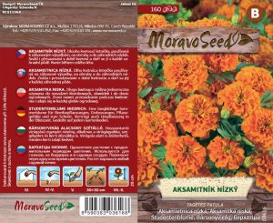 Aksamietnica nízka - Tagetes patula - oranžova