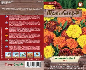 Aksamietnica nízka - Tagetes patula - zmes