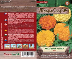 Aksamietnica vzpriamená - Tagetes erecta