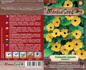 Čiernooká Zuzana - Thunbergia alata - Ťahavá