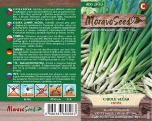 Cibuľa zimná - Allium fistulosum L. - Entita