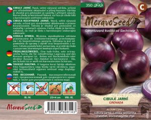 Cibuľa jarná - Allium cepa L. - Grenada - červená