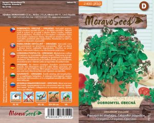 Pamajorán obyčajný - Origanum vulgare