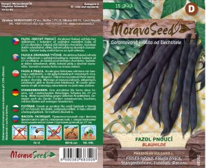 Fazuľa pnúca - Phaseolus vulgaris - BLAUHILDE - fialová