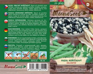 Fazuľa keríčková - Phaseolus vulgaris - DALMATIN - zelený
