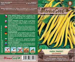 Fazuľa pnúca - Phaseolus vulgaris - GOLDMARIE - žltý