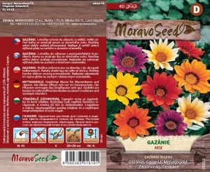 Gazánia žiarivá - Gazania rigens