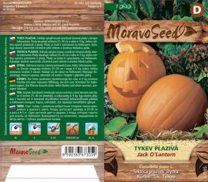 Tekvica veľkoplodá - Cucurbita pepo - JACK O LANTERN - plazivá