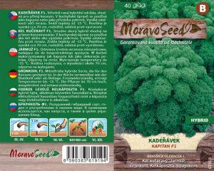 Kel kučeravý - Brassica oleracea L. - Kapitan F1 - zelený