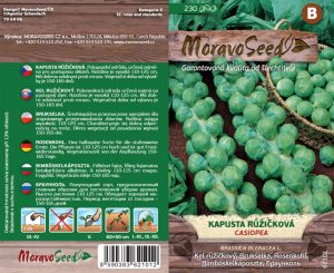 Kel ružičkový - Brassica oleracea - Casiopea