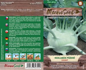 Kaleráb neskorý - Brassica oleracea - Gigant - biely