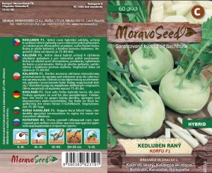 Kaleráb raný - Brassica oleracea - biely Korfu F1
