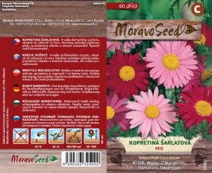 Kopretina šarlátová - Tanacetum coccineum