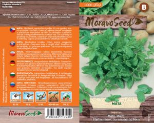 Mäta pieporná - Mentha piperita