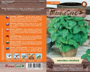 Medovka lekárska - Melissa officinalis