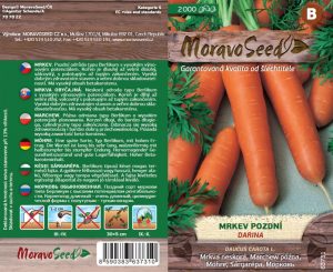 Mrkva neskorá - Daucus carota L. - DARINA