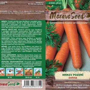 Mrkva neskorá - Daucus carota L. - DARINA
