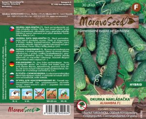 Uhorka nakladačka hruboostná - Cocumis sativus - ALHAMBRA F1