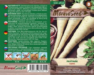 Paštrnák - Pastinaca sativa L. - KAMO