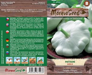 Patizón biely - Cucurbita pepo - DISCO