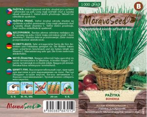 Pažítka pravá - Allium schoenoprasum - BOHEMIA