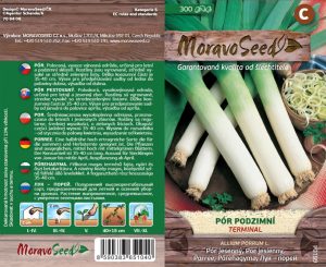 Pór podzimný - Allium porrum L. - TERMINAL