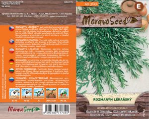 Rozmarín lekársky - Rosmarinus officinalis