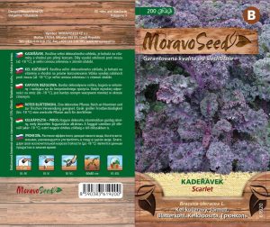 Kel kučeravý - Brassica oleracea L. - Scarlet - červený