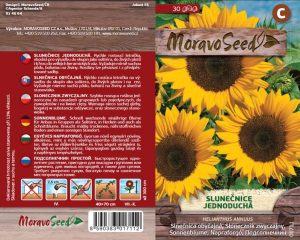 Slnečnica jednoduchá - Helianthus annuus - žltá