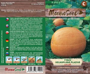 Tekvica veľkoplodá - Cucurbita maxima - GOLIÁŠ - plazivá