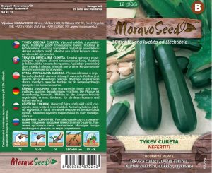 Tekvica cuketa - Cucurbita pepo - NEFERTITI - zelená