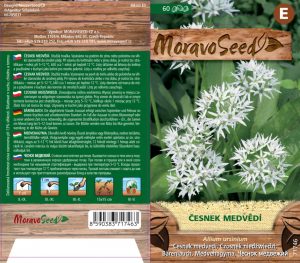 Cesnak medvedí - Allium ursinum