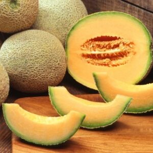 Melón cukrový (Cucumis melo) – Cucumis melo var. cantaloupensis