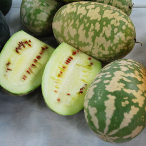 Vodný melón (Citrullus lanatus var. caffer)