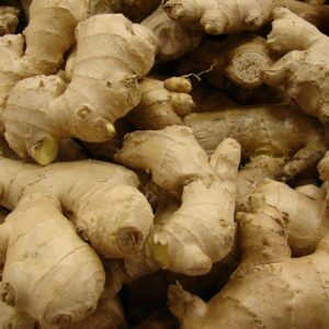 Zázvor (Zingiber officinale)
