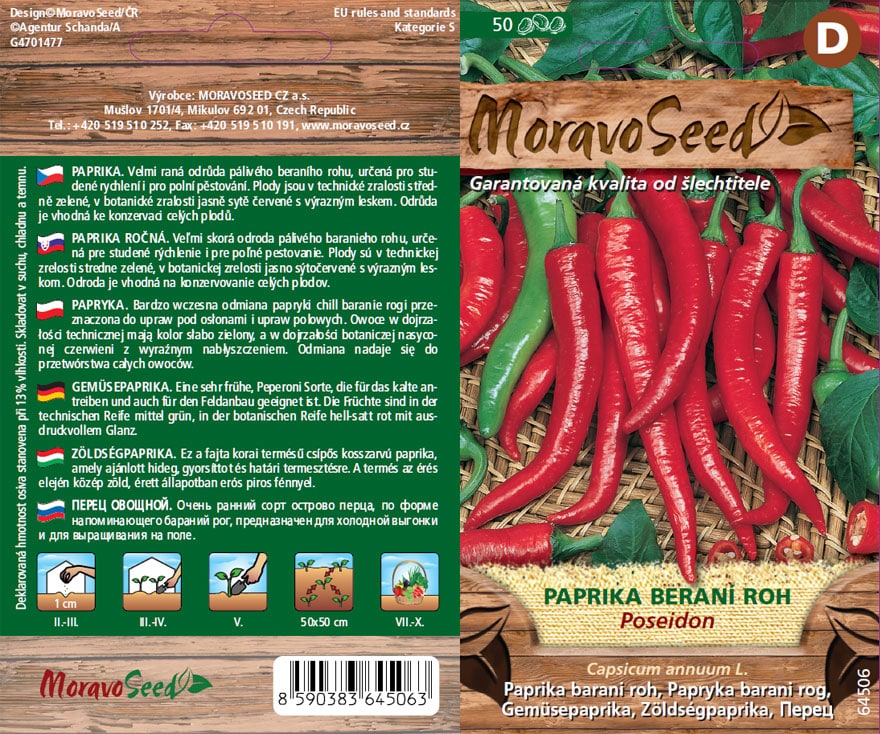 Paprika baraní roh – Capsicum annuum – POSEIDON – pálivá
