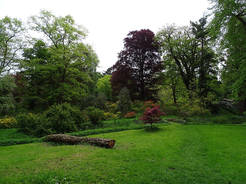 Zámocký park Vrchotovy Janovice severovýchodne od zámku