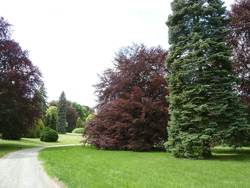 Park v Čechách pod Kosířom